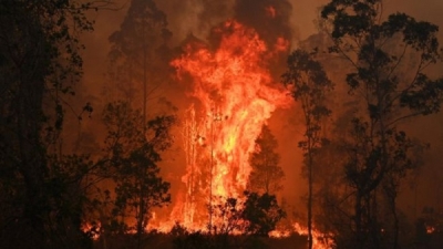 Australia bushfires: Three dead and thousands forced from homes