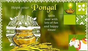 Thai Pongal  - The Festival of the Tamils