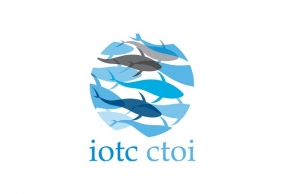 18th Indian Ocean Tuna Commission from June 1-5