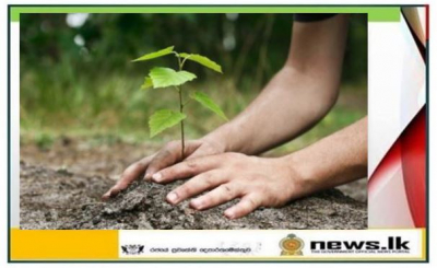 “Matha Project” commences - 20 million saplings from Colombo to Jaffna to be planted