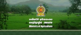 Govt. to protect farmers affected by inclement weather