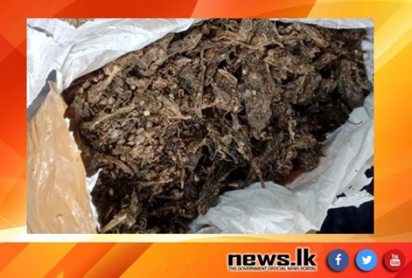 Two suspects nabbed with Kerala cannabis in Thambalagamuwa