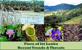 ‘Flora of Sri Lanka: Recent Trends and Threats’, public lecture and Book launch