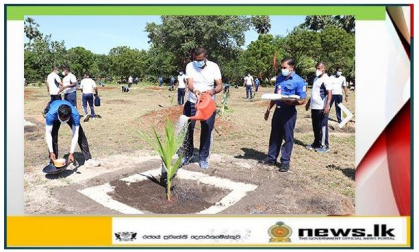 Navy launches coconut planting campaign
