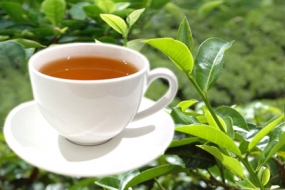 A boost to Sri Lanka Tea