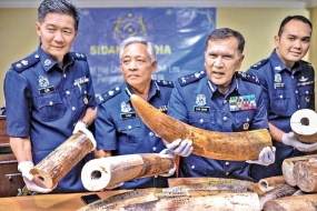 Malaysian Customs seizes 159 kg in smuggled ivory