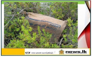 Navy finds over 67kg of Kerala cannabis hidden in shrubs close to Manthai beach