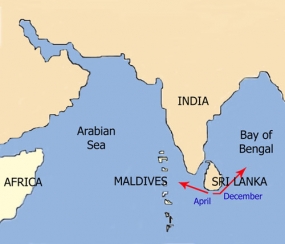 Sri Lanka, Maldives discuss deriving maximum benefits from marine resources