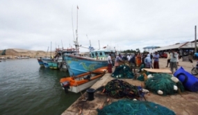 Think Tank Forum for fisheries sector to be established