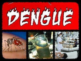 Dengue update - Reduction in dengue cases