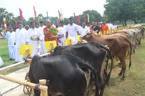 Bodhiraja Foundation Donates Cattle to 100 Low Income Families of Jaffna