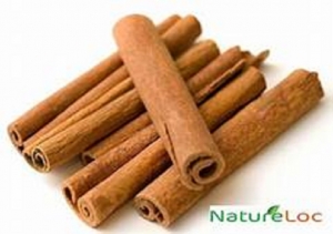 EDB assists to obtain Ceylon Cinnamon Geographical Indication