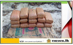   Navy recovers about 31kg of Kerala cannabis at Manthai beach