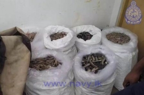 Smuggled sea cucumber worth Rs.10 million arrested