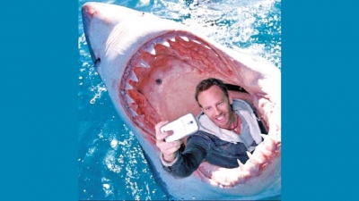 SELFIES: Five times more deadly than SHARK ATTACKS