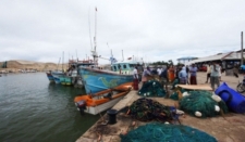 Fisheries harbours dengue free