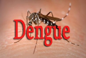 Around 4,405 high dengue risk places identified