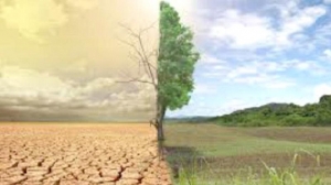 Climate change adaptation crucial for corporate sector